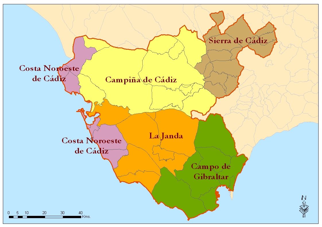 Mbitos Intermedios En La Provincia De C Diz Dentro De Los Procesos