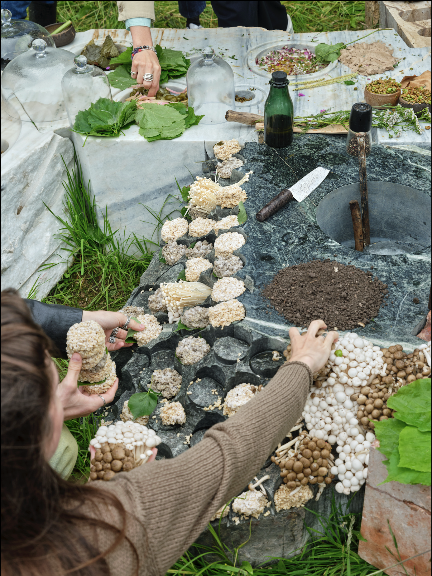 Transspecies Kitchen, Andres Jaque-OFFPOLINN. Picture by José Hevia